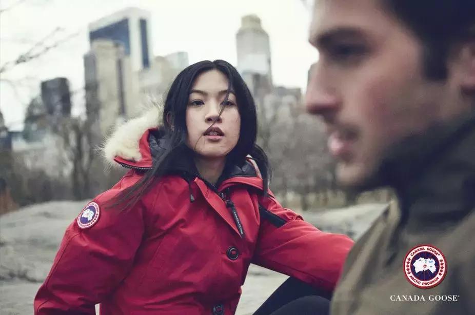 为什么加拿大鹅羽绒服卖的那么好,加拿大鹅羽绒服涨价了吗