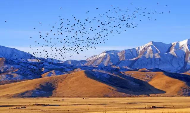 别去*藏西**了！从石家庄坐火车只有6站，天空之镜就在眼前！
