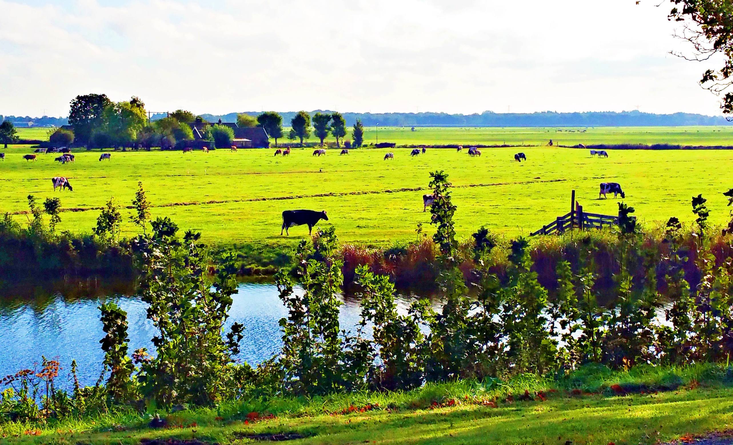 荷兰梦幻旅游景点,荷兰最美十大小镇