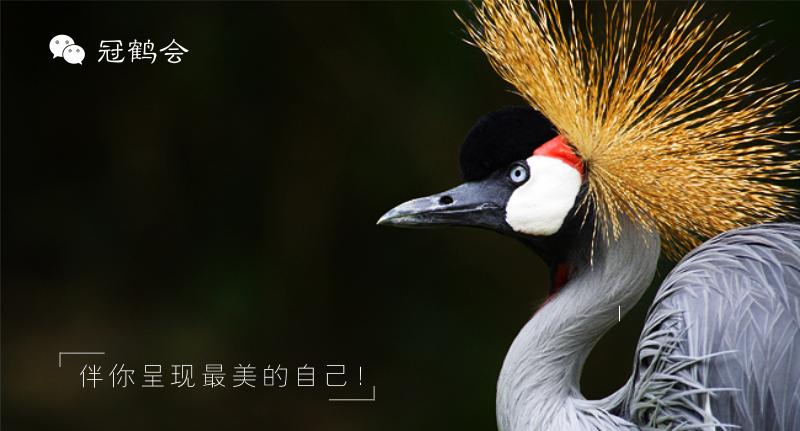 拜年见家长怎么穿衣服,过年去对象家拜年穿哪套