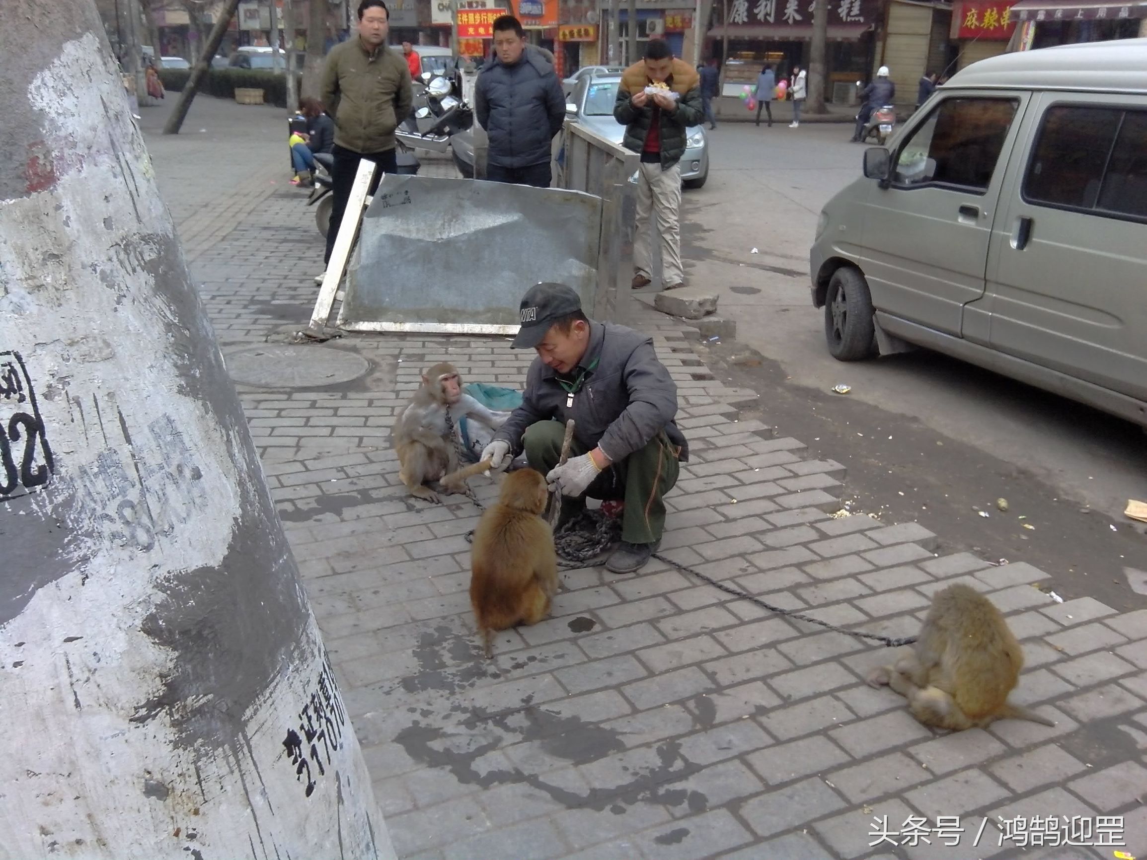 陕西西安鱼化寨,西安鱼化寨耍猴