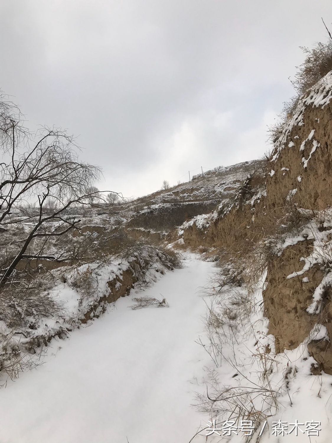 大雪后的城市美得一踏糊涂那么大雪后的西部高原是怎么样的呢