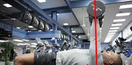 上斜哑铃卧推肌肉变化动态图,哑铃卧推的正确方法和姿势