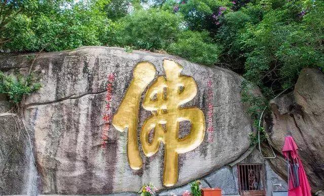 走心厦门自由行攻略超详细,厦门自由行攻略最详细