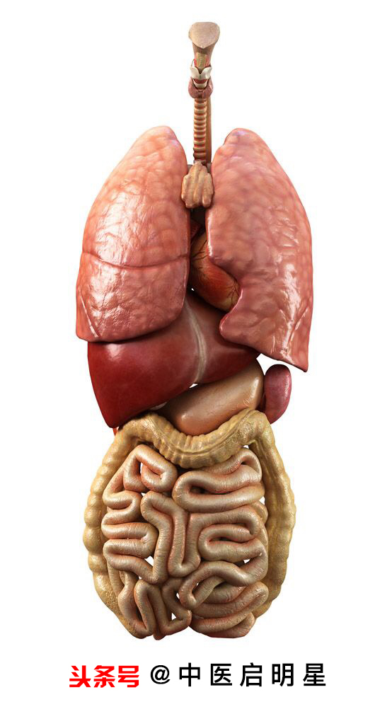 胃病老是好不了怎么办？应从中医的整体观念出发，辩证用药才能好
