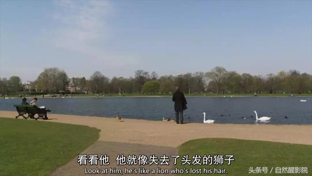 香港版教父完整版,教父英剧