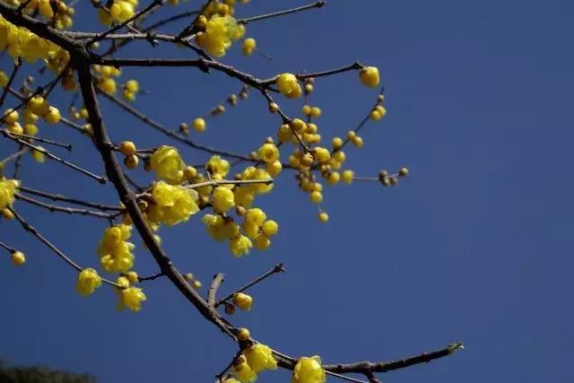 成都泡温泉一日游最佳景点,成都周边100元泡温泉包吃住