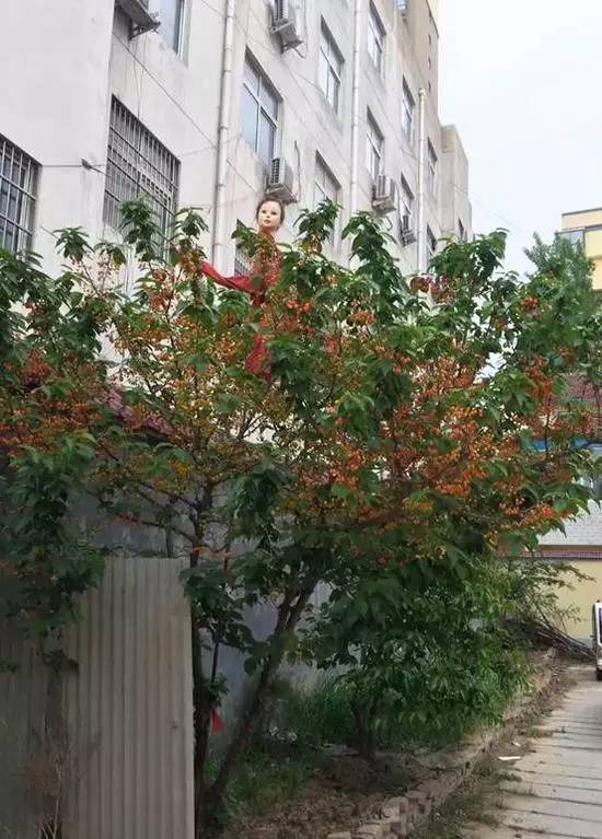 男子高速隧道提神,高速犯困夫妻在隧道提神