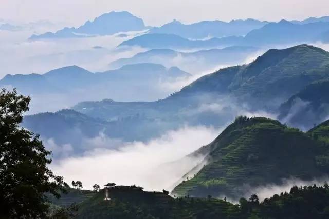 “山水诗之旅”到底是怎样的一场旅行？为什么吸引这么多大咖前往探秘？