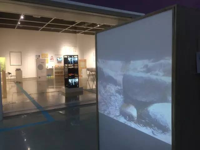 你们这么造秦岭，熊猫大大和朱鹮宝宝造吗？——极体营的小伙伴毕业了，他们的脑洞惊动了整个森林