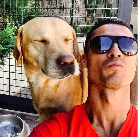 卡门的杂货铺|牵着大象去逛街，图说体坛明星的宠物情缘