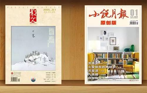 小说月报原创版杂志,小说月报原创版刊登长篇小说