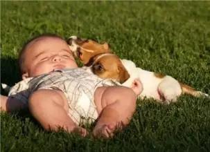 怕小孩长不高,怕孩子长不高需要补什么