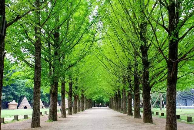 韩国玩乐攻略,怎么玩才能吃上饭