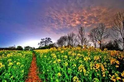 韩国玩乐攻略,怎么玩才能吃上饭