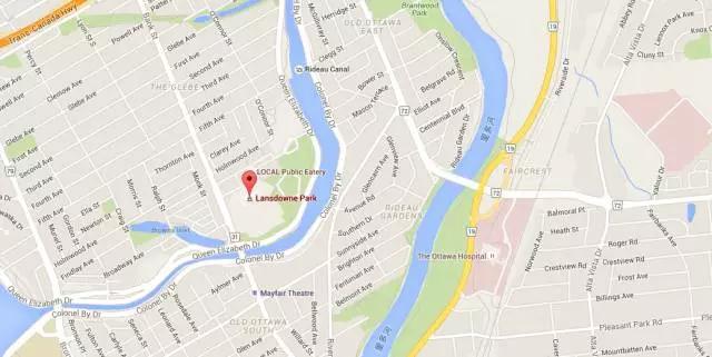 郁金香花节,全世界最大的郁金香