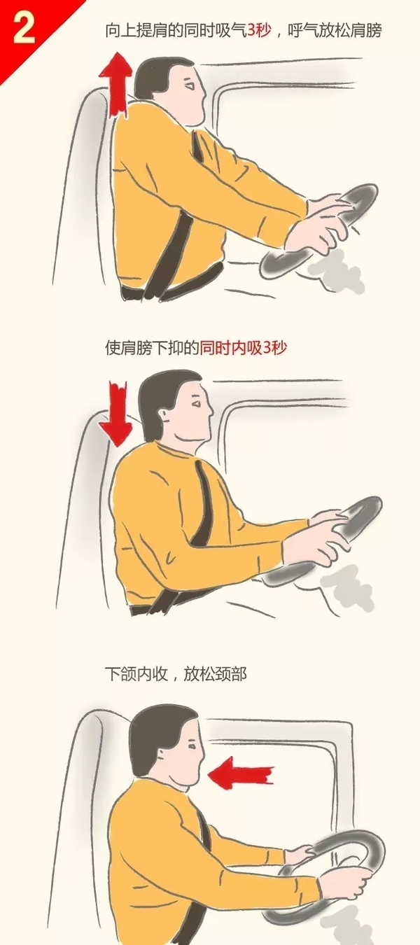 开车腰疼保健操,开车腰酸拉伸动作