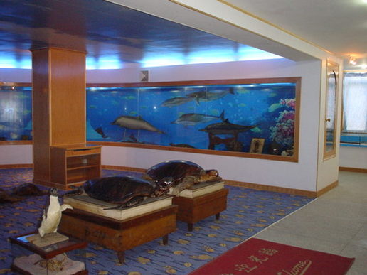 父母们，记住广州45个科普亲子游好去处，让孩子边玩边成长！