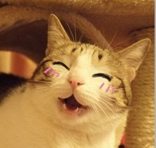 大姨妈的成分,大姨妈的老公叫什么