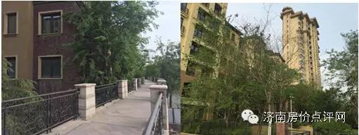 分析师走进蓝石大溪地，帮你收房