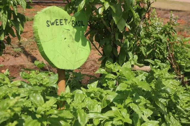 悦榕庄banyantree酒店,新加坡民丹岛酒店攻略