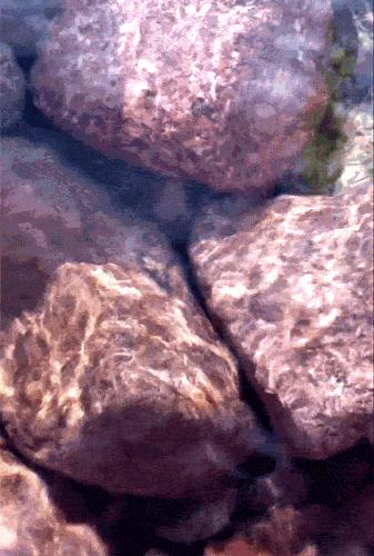 古诗词中的溪水|溪花与禅意相对亦忘言