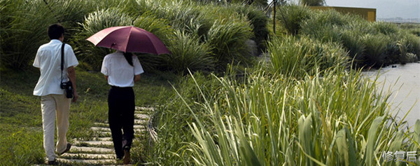 城市双修是什么,城市双修纪实