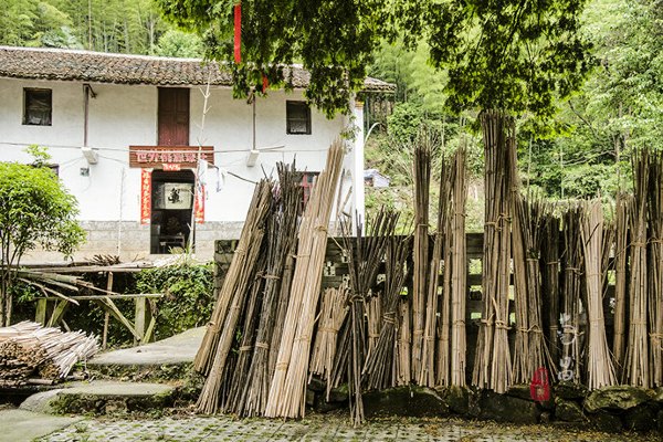 养在深闺里无人知,养在深闺无人识全文