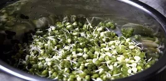 衣服发霉了衣柜怎么清洗,为什么柜子里的衣服会发霉