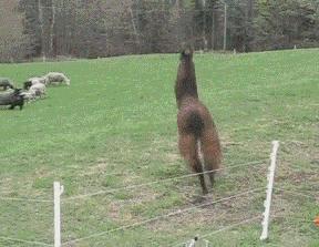 奇案再现存折里十万元离奇失踪,百元大钞从天而降是什么情况