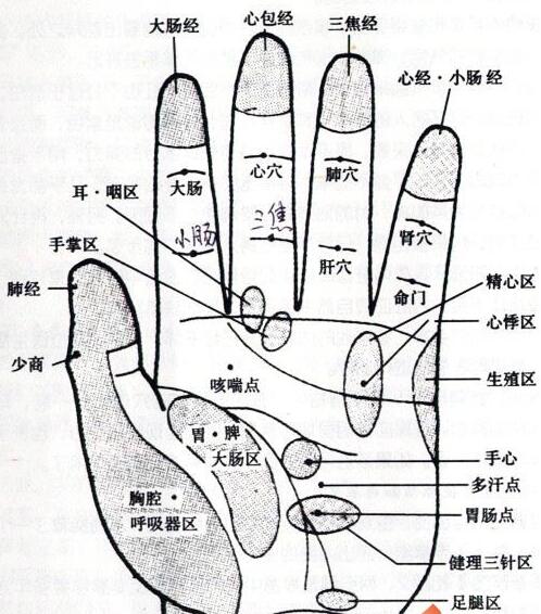 揉五指的最佳方法,如何推拿五指