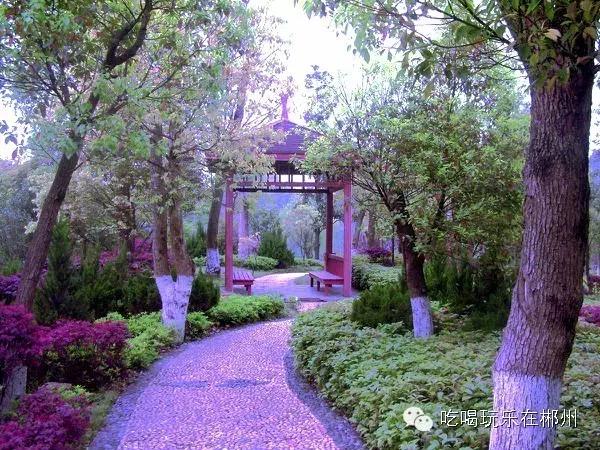 不要听说郴州怎样，进来听听郴州怎么说。