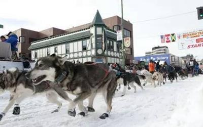 二货哈士奇是怎么来的？难道真是狼和狗OOXX...生的？！