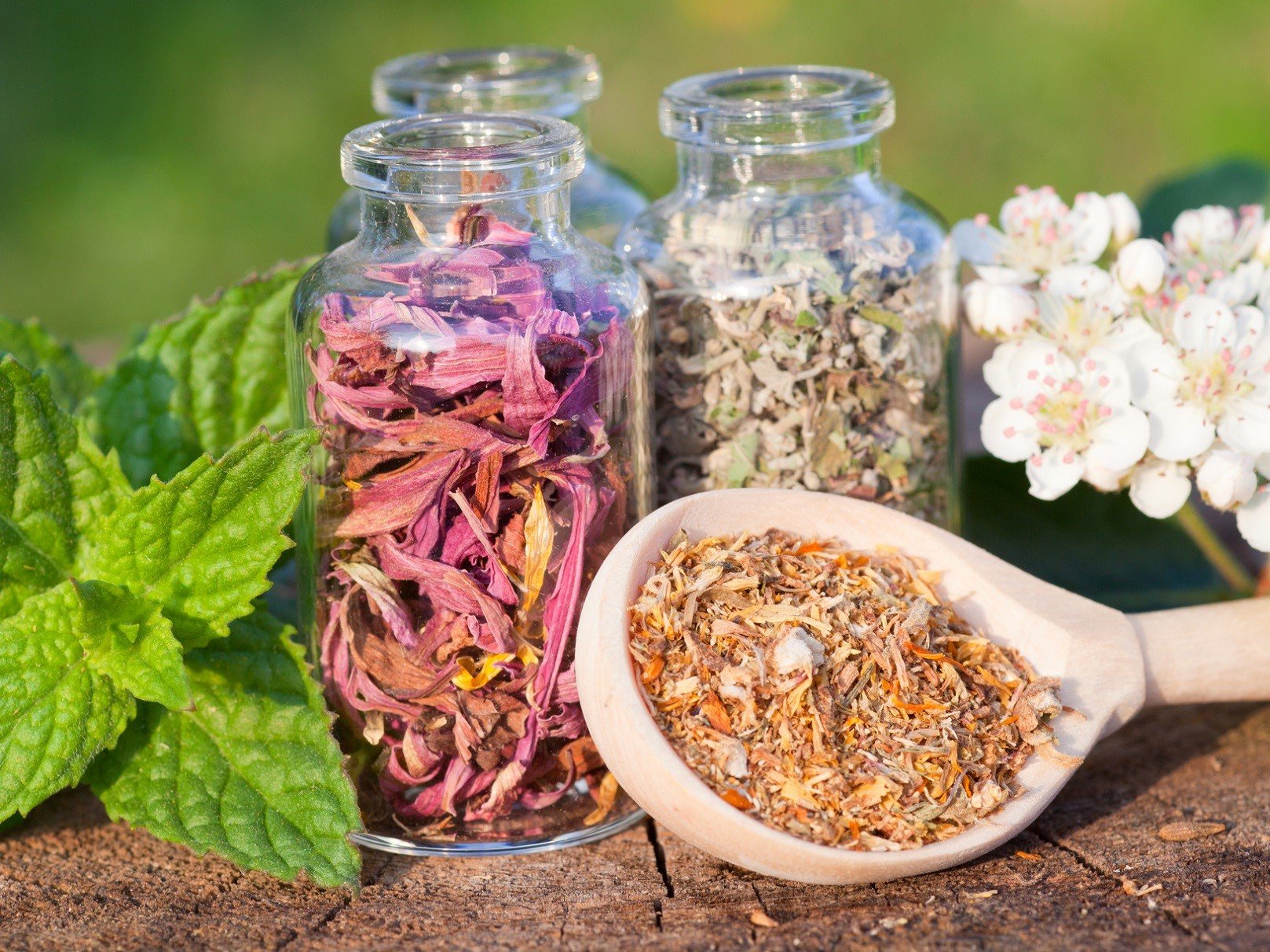 去西伯利亚要准备什么东西,去澳大利亚必买的几样东西