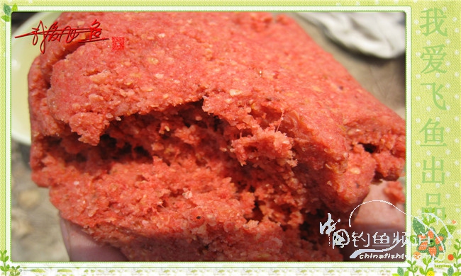 我爱飞鱼初探新钓点