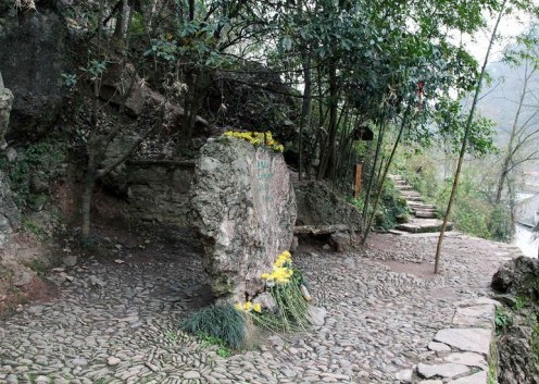 沈从文人生经历与文学创作,在凤凰听一首此生不换