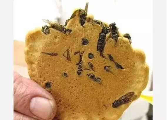 日本最重口味美食满满的全是口水,日本美食勾引你的味蕾