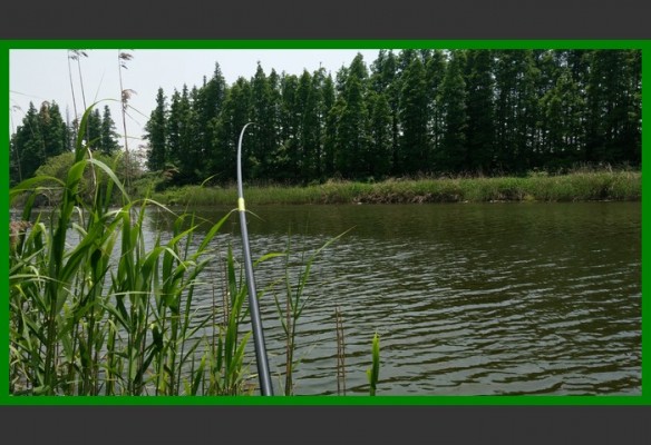 閲庨挀鐑х儰缁濅匠鐮佸ご,鎺ㄨ崘閽撻奔鐑х儰