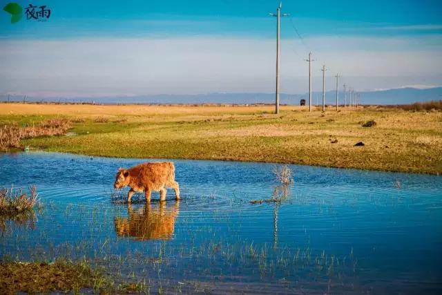 五月初的*疆新**，这片神秘的土地