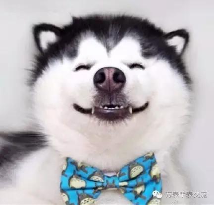 手表进水雾最快解决方法不用拆开,手表进水有什么好的办法可以解决