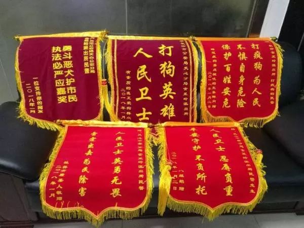 太原打死金毛事件的处理结果,要人命