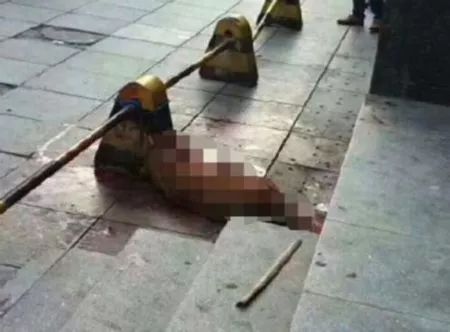 太原打死金毛事件的处理结果,长沙打死金毛事件