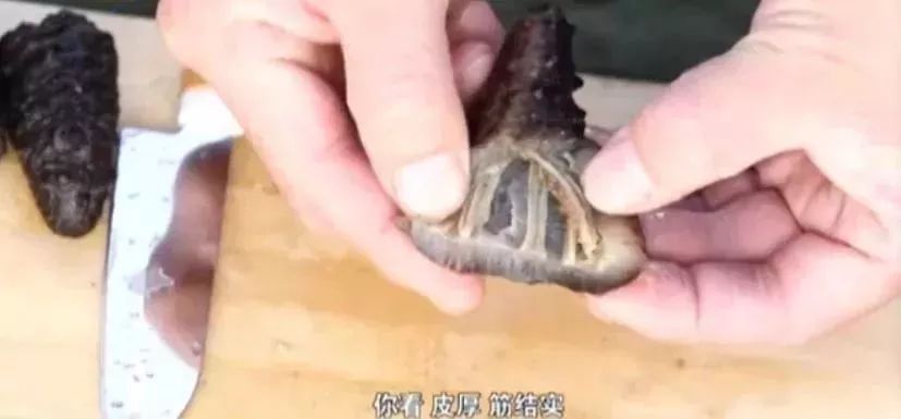 十块钱吃海鲜,吃海参的秘密