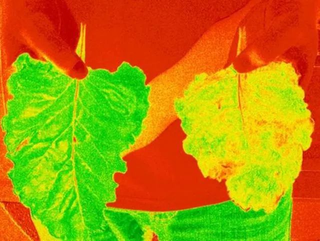 球场管理,球场运营管理经验