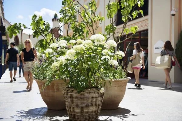 巴塞罗那和马德里旅游,西班牙旅游攻略巴萨