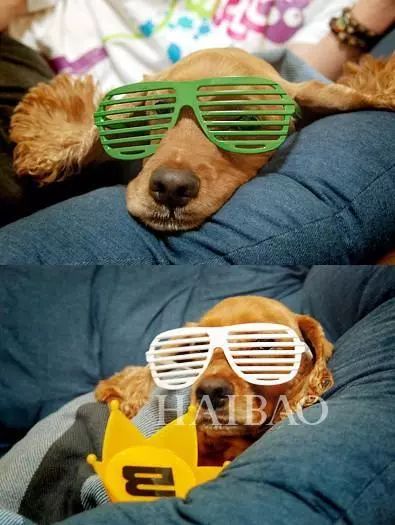 毕竟爱狗|哈哈哈哈哈哈……听说你们要买狗年单品?我就真的不拦了!