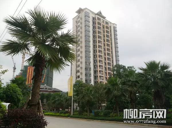 热闹“5”字头江景花园洋房+欢乐游园,琥珀·东岸为母亲节献礼