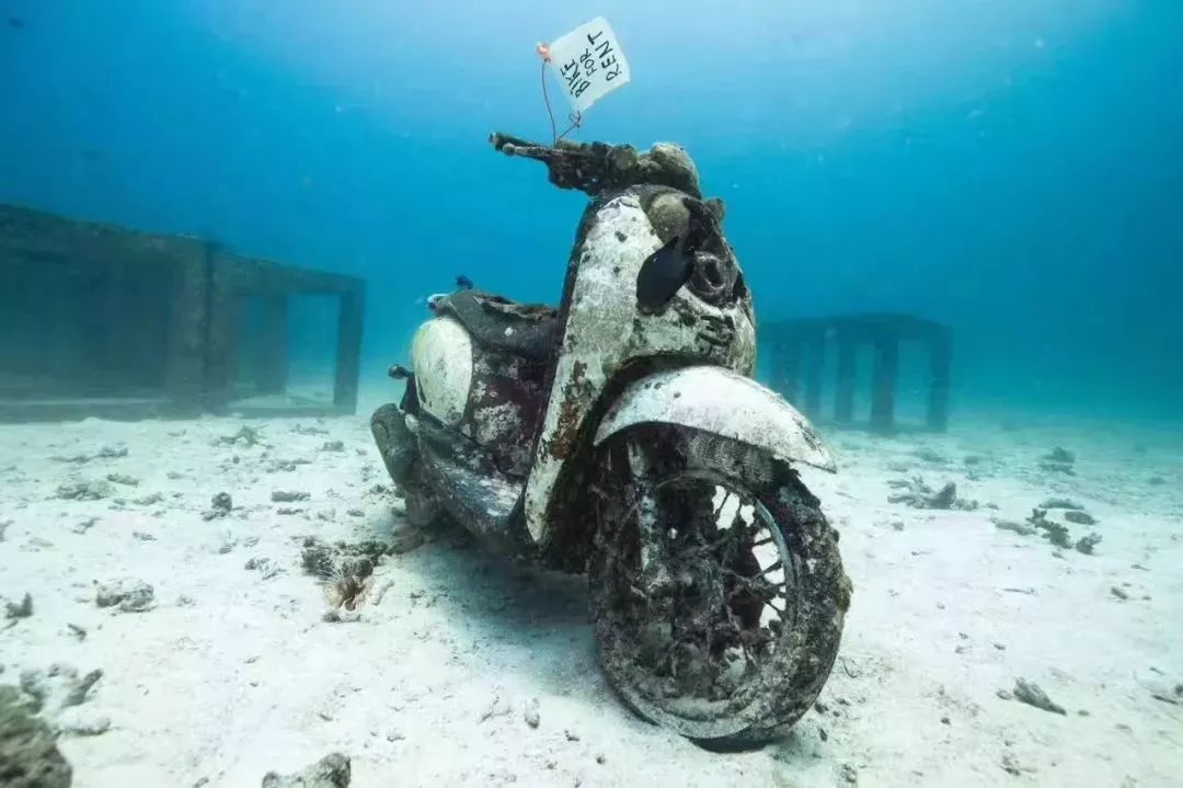 酷潜潜水普吉岛,普吉岛潜水不会游泳可以潜吗