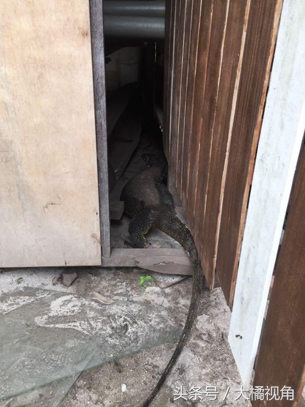 仙本那海岛游玩,仙本那海岛度假