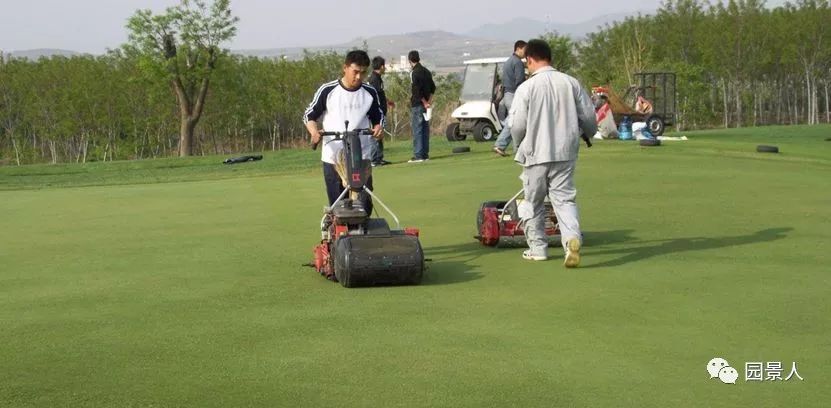 优质人造草坪维护,济宁人造草坪维护